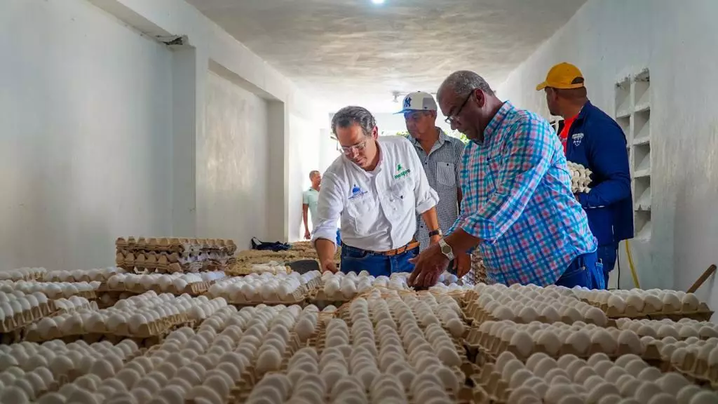 Inespre inicia compra de pollos y huevos a productores afectados por el cierre fronterizo