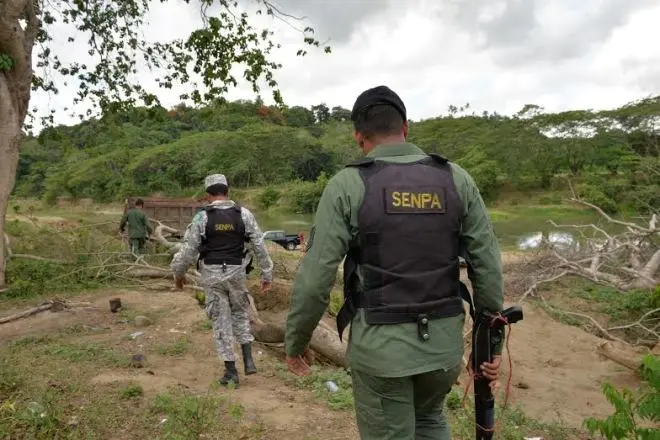 Senpa ha detenido desde inicio de año a 2,314 personas que violaron Ley de Medio Ambiente