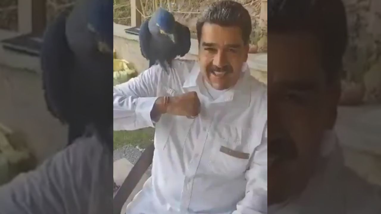 Maduro se exhibe con cotorra azul en extinción