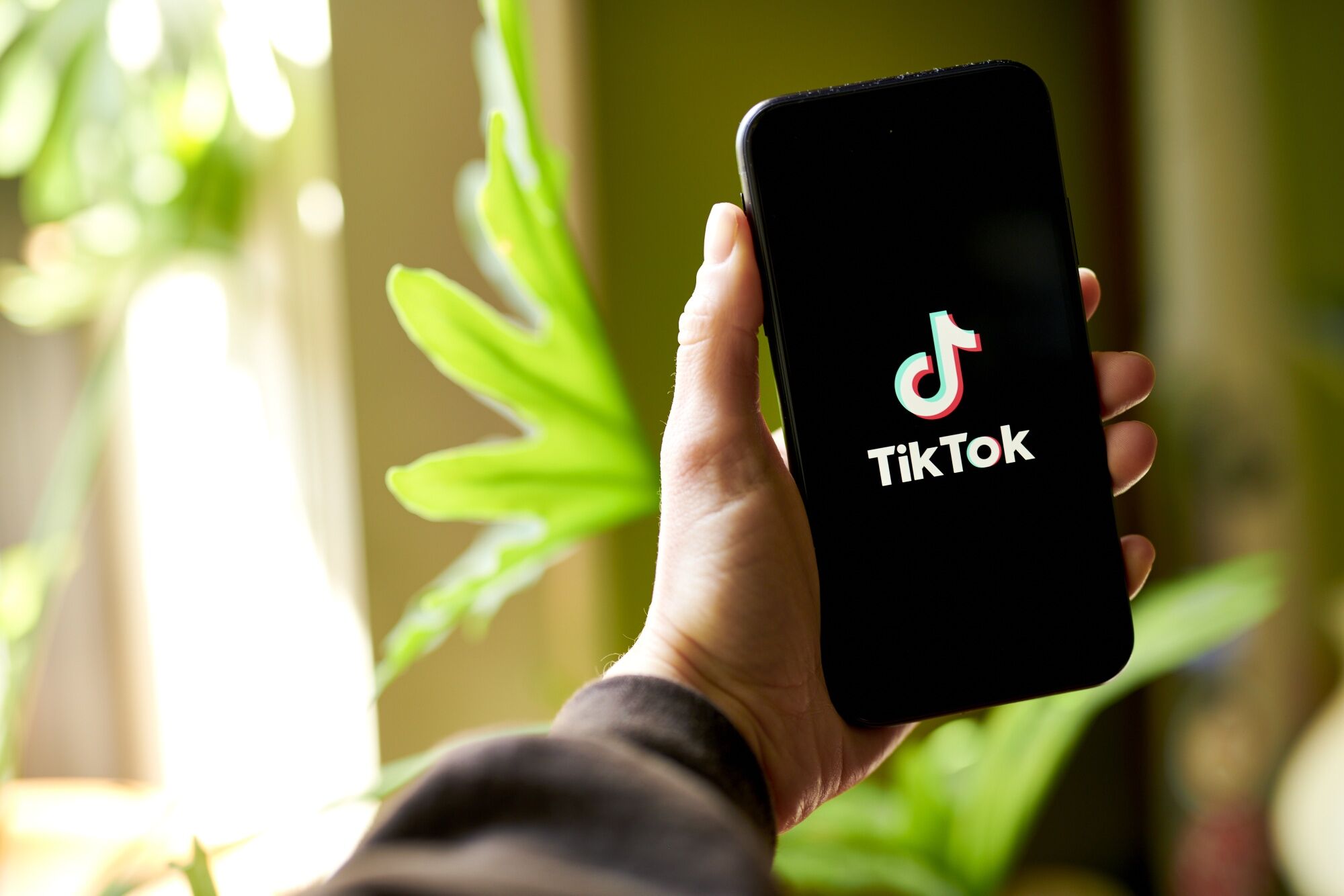 Canciones de Universal Music Group volverán a TikTok
